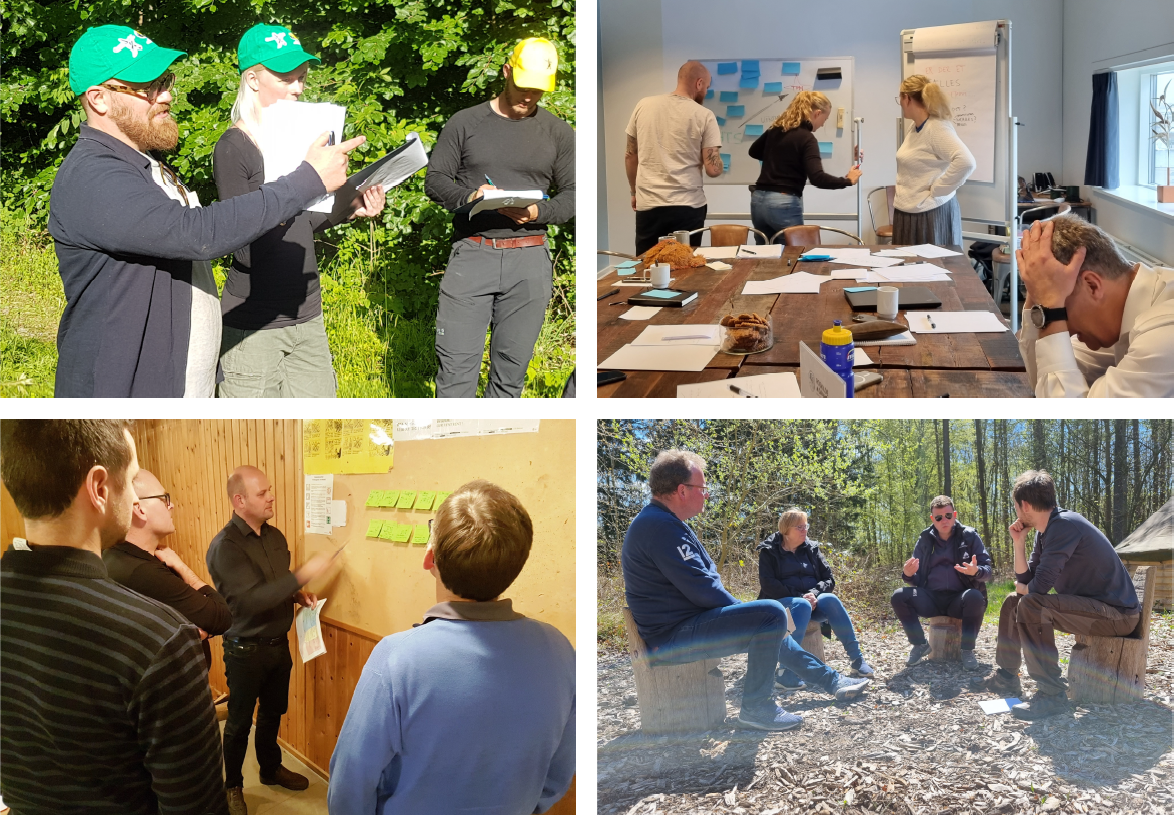 Collage fra ledergruppeudvikling: ledergrupper i workshops og praktiske øvelser